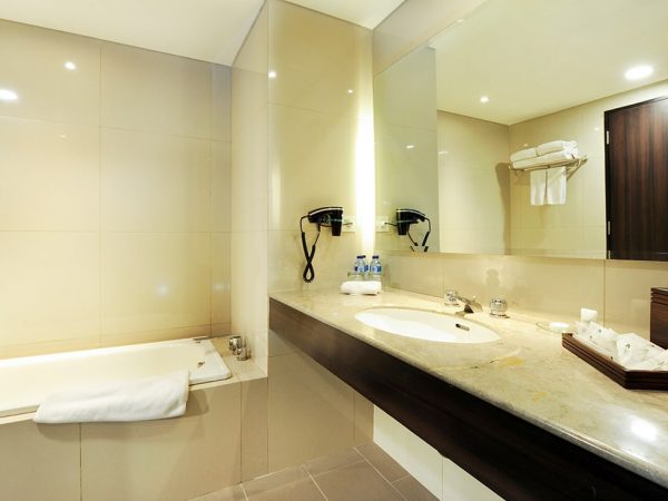Accommodation - Deluxe Suite - Bathroom