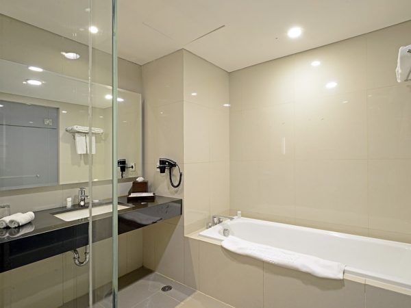 Accommodation - Premier Suite - Bathroom