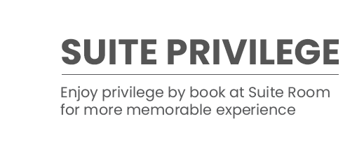 Discovery Suite Privilege